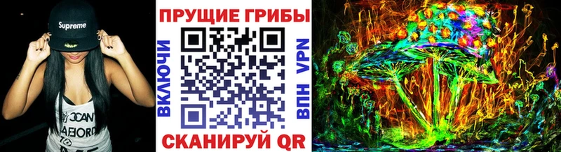 Псилоцибиновые грибы MAGIC MUSHROOMS  наркота  Чистополь 